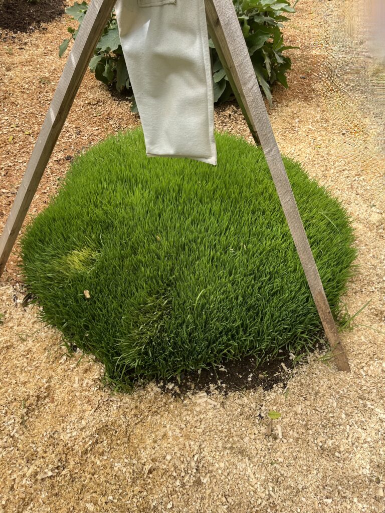 Dixon Irrigation stock feed bag